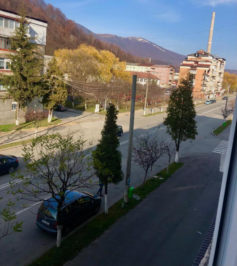 La Symo Apartament Straja Lupeni Lupeni  外观 照片
