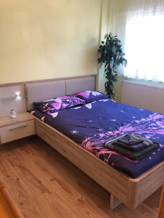 La Symo Apartament Straja Lupeni Lupeni  外观 照片