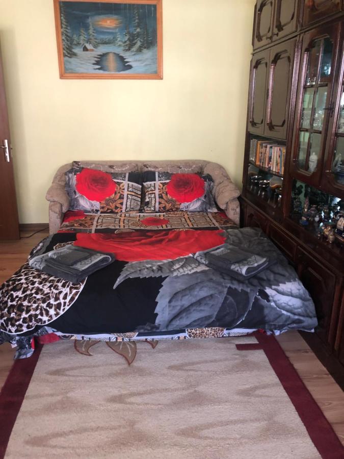 La Symo Apartament Straja Lupeni Lupeni  外观 照片