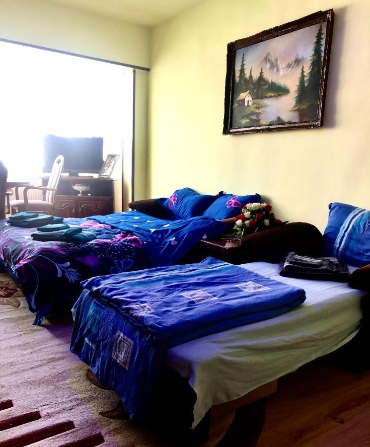 La Symo Apartament Straja Lupeni Lupeni  外观 照片