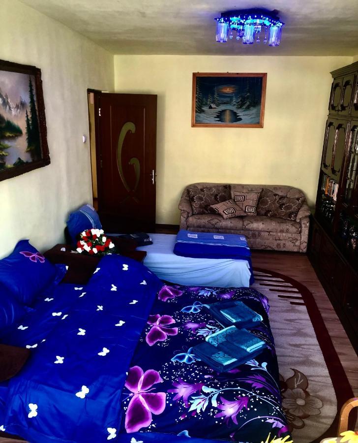 La Symo Apartament Straja Lupeni Lupeni  外观 照片