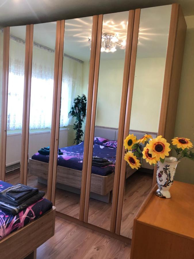 La Symo Apartament Straja Lupeni Lupeni  外观 照片