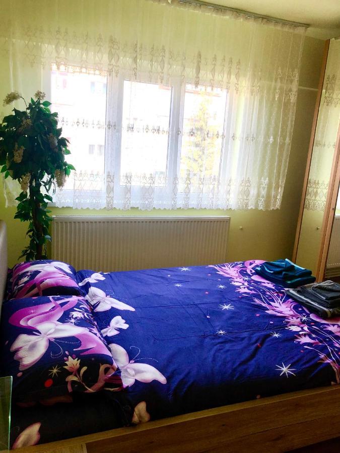 La Symo Apartament Straja Lupeni Lupeni  外观 照片