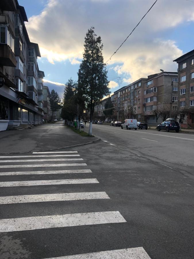 La Symo Apartament Straja Lupeni Lupeni  外观 照片