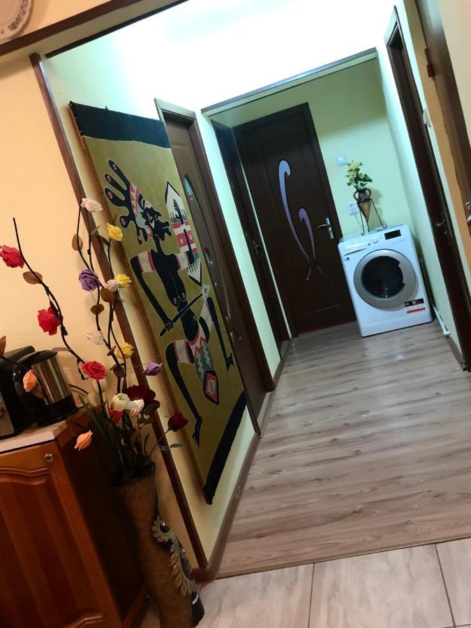 La Symo Apartament Straja Lupeni Lupeni  外观 照片