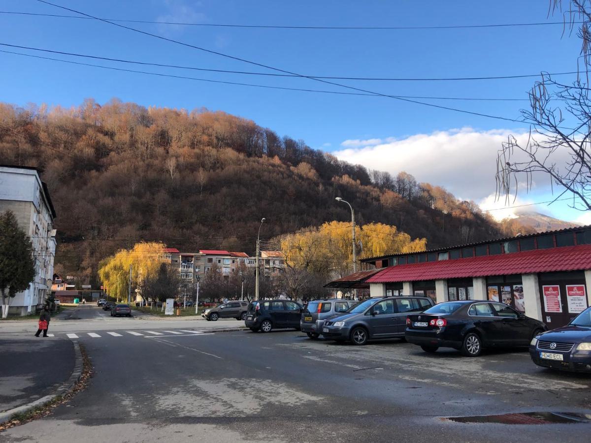 La Symo Apartament Straja Lupeni Lupeni  外观 照片