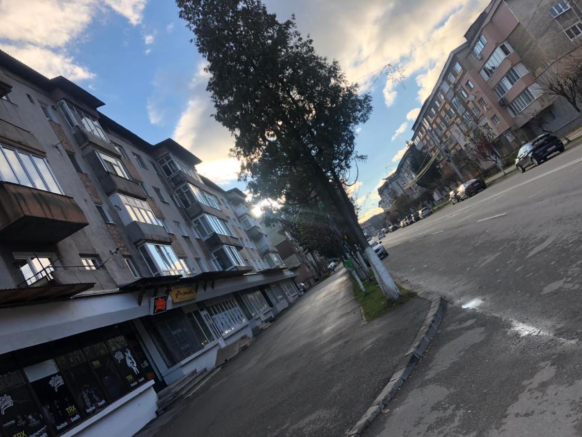 La Symo Apartament Straja Lupeni Lupeni  外观 照片